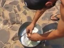 Extreme Hitze: Spiegelei auf dem Kopfsteinpflaster