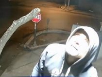 Diebe haben es auf Glühbirnen abgesehen