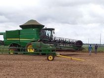 Abhängigkeit als Risiko: Wie Chinas neue Agrarpolitik Paraguays Exporte bedroht