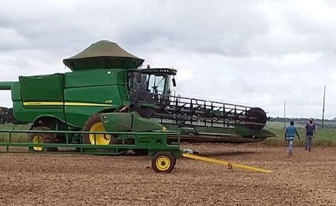 Abhängigkeit als Risiko: Wie Chinas neue Agrarpolitik Paraguays Exporte bedroht