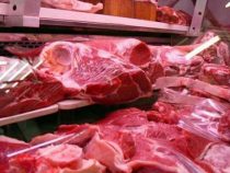 Paraguays “Gold“ auf vier Beinen: Historische Höchstpreise auf dem Weltmarkt