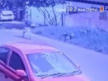 Frau überfallen und vor den Augen ihrer Kinder vergewaltigt