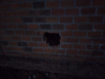 Ein Loch in die Mauer geschlagen, um Wertsachen stehlen zu können