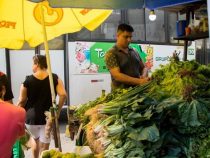 Preise explodieren: Salat ist Luxusware