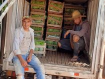 13.000 Salate pro Monat und es geht weiter aufwärts
