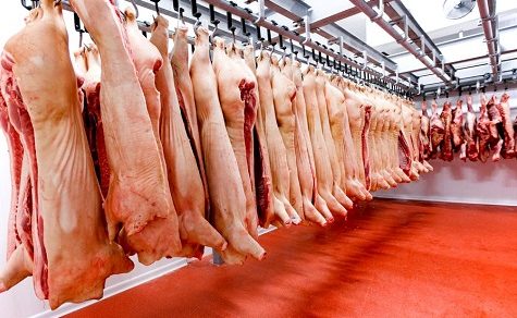 Wurstverbot im Koffer: Strengste Kontrollen an den Grenzen wegen Schweinepest-Gefahr