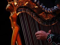 Harfen aus aller Welt für musikalischen Hochgenuss