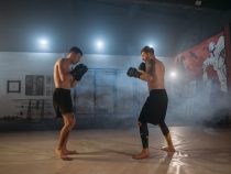Las MMA están conquistando América Latina y desplazando lentamente al boxeo