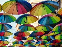 Angebliche Homophobie an einer Schule veranlasst Senatsausschuss zum Einschreiten