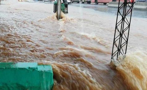 Neue Warn-App: SEN informiert Bürger digital über Unwetterrisiken