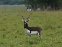 Estancia als Naturreservat