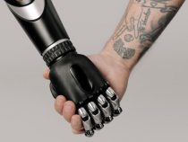 Liebespuppe, Roboter und Co. – Partner/In der Zukunft?