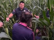 Sie wollten Mais stehlen, wurden aber von der Polizei erwischt