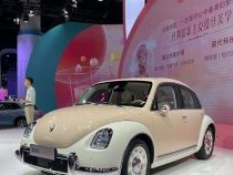 Der Elektro-Käfer: Von einem Paraguayer initiiert, jetzt kopiert ihn China