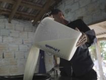 Milchprodukte verteuern sich