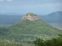 Eine zugewachsene Pyramide in Paraguay?