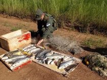Paraguayer wegen Raubfischerei in Brasilien verhaftet
