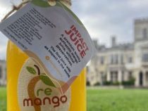 ReMango wird Gewinner des Hult-Preises