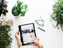 Wie man beim Onlineshopping bares Geld sparen kann
