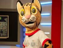 Eine Katze als Maskottchen der Südamerikaspiele