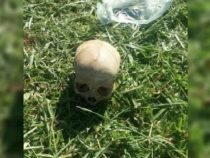 Das Rätsel um einen gefundenen Totenschädel auf einer Estancia