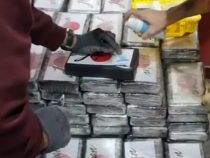 In Spanien eine halbe Tonne Kokain aus Paraguay beschlagnahmt