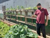 Gemüseanbau im Gefängnis für eine gesunde Ernährung der Gefangenen