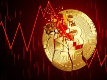 Kryptocrash: Der Kollaps vom Bitcoin und anderen virtuellen Währungen