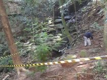 Toter Mann in Waldstück: Verhaftete führten spirituelle Rituale durch