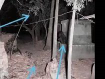 Spukt es auf einem Friedhof?