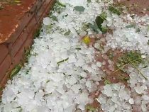 Hagelsturm und starker Wind verursachen Ernteschäden in Los Cedrales