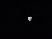 Totale Mondfinsternis sorgt für Aufsehen