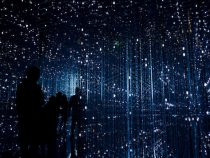 Wie sich das Wetten von der analogen in die digitale Welt verlagert hat