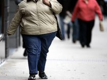2030 dürfte jeder 3. erwachsene Einwohner im Land zu fett sein