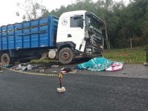 Nebel: 50-Jähriger stirbt bei Frontalzusammenstoß mit LKW