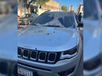 Falschparker macht Bekanntschaft mit Katzenklo