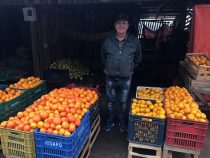 Mandarinen- und Zitrusfrüchtesaison