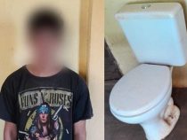 Sogar Toiletten werden schon gestohlen