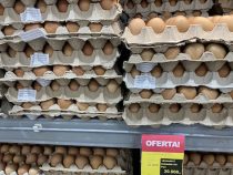 Hohe Preise sind in aller Munde