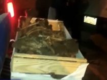 Knochenreste auf dem Gelände einer Estancia gefunden