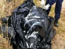 Chaco: Makabre Entdeckung am Straßenrand