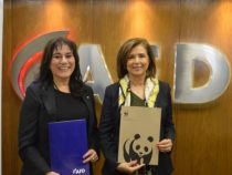 AFD und WWF fördern Aufforstungsprogramme