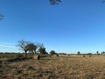 Flugzeug stürzt im Chaco ab