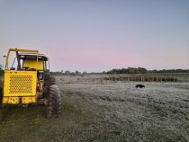 Starker Frost in vielen Landesteilen