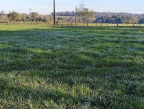 Vom Frost zum Hochsommer