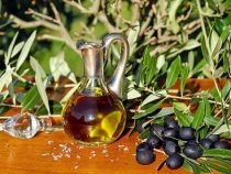 Olivenöl selbst machen – so geht’s