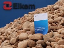 Silizium produzierendes Unternehmen will in Paraguay expandieren