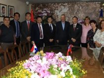Orchideen im Aufwärtstrend: Taiwan und Paraguay investieren rund 3,7 Millionen USD