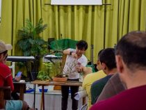 Bonsai: Häftlinge fasziniert von der großen Welt der kleinen Bäume
