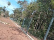 Wenn’s eine Persönlichkeit trifft